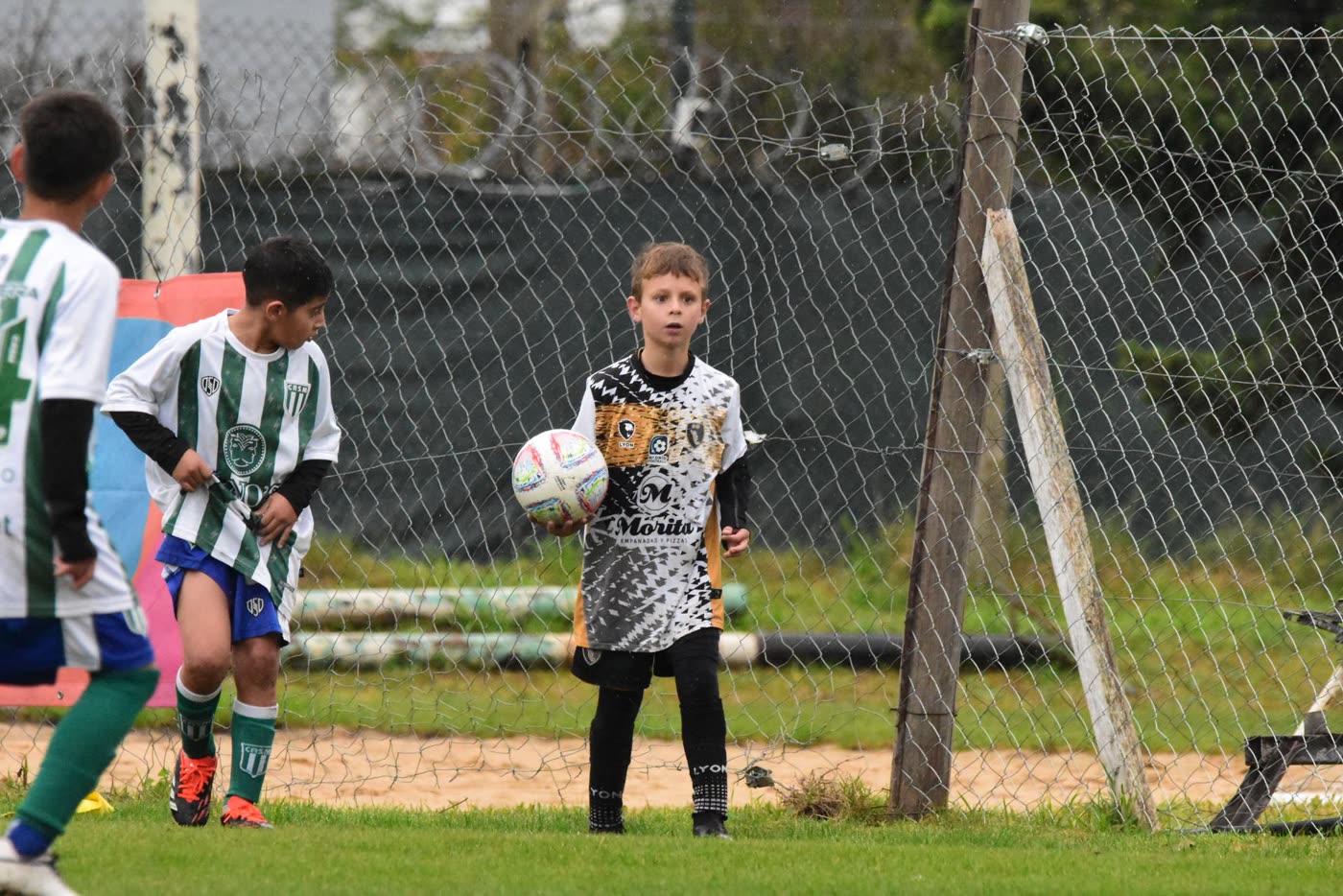Categoría 2015 — foto 3