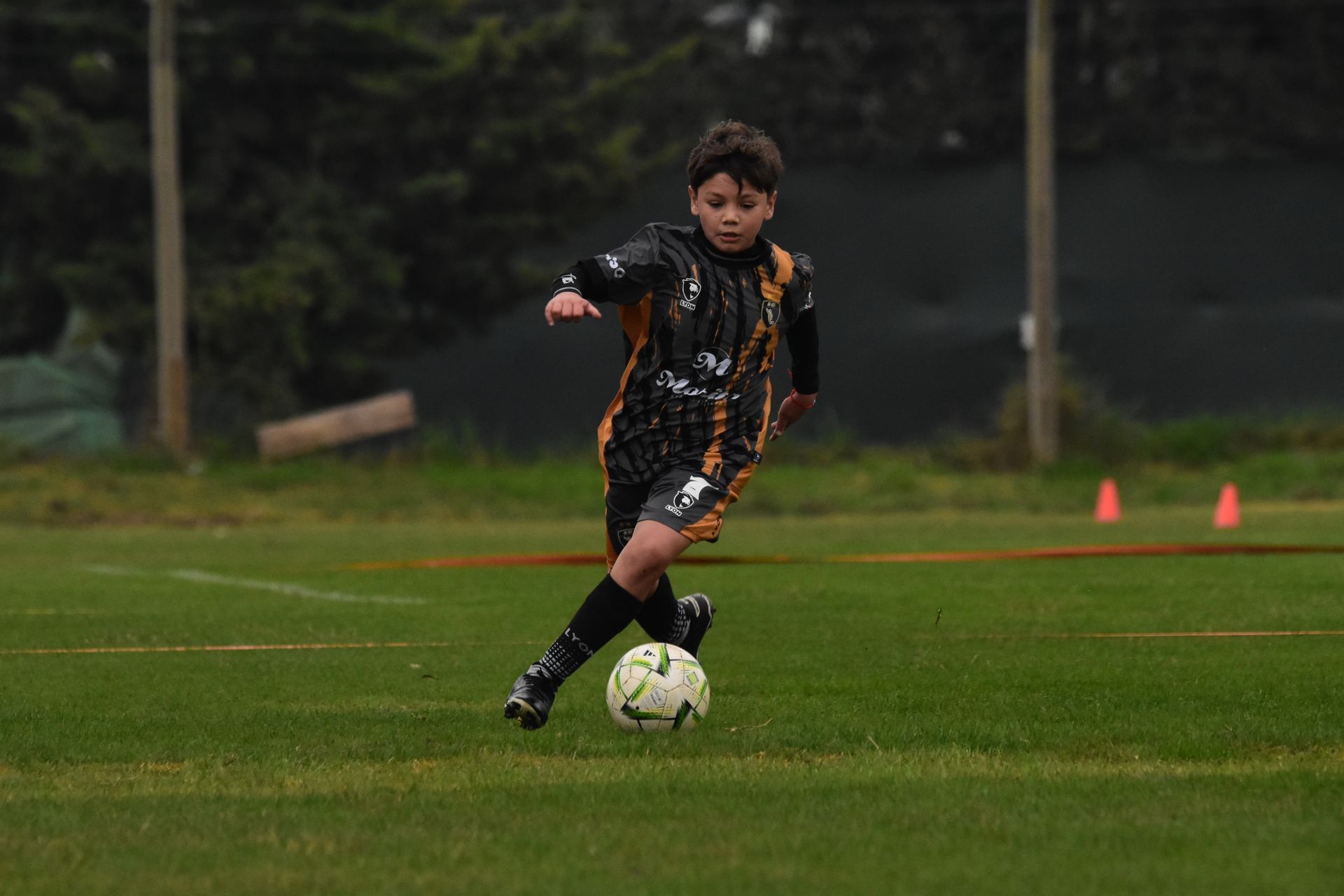 Canchas del predio de D10 Football Club en Pilar